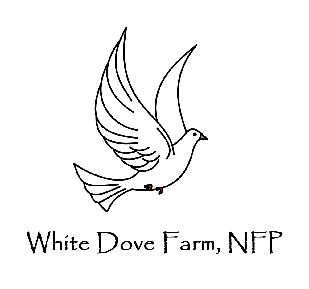 WDF logo